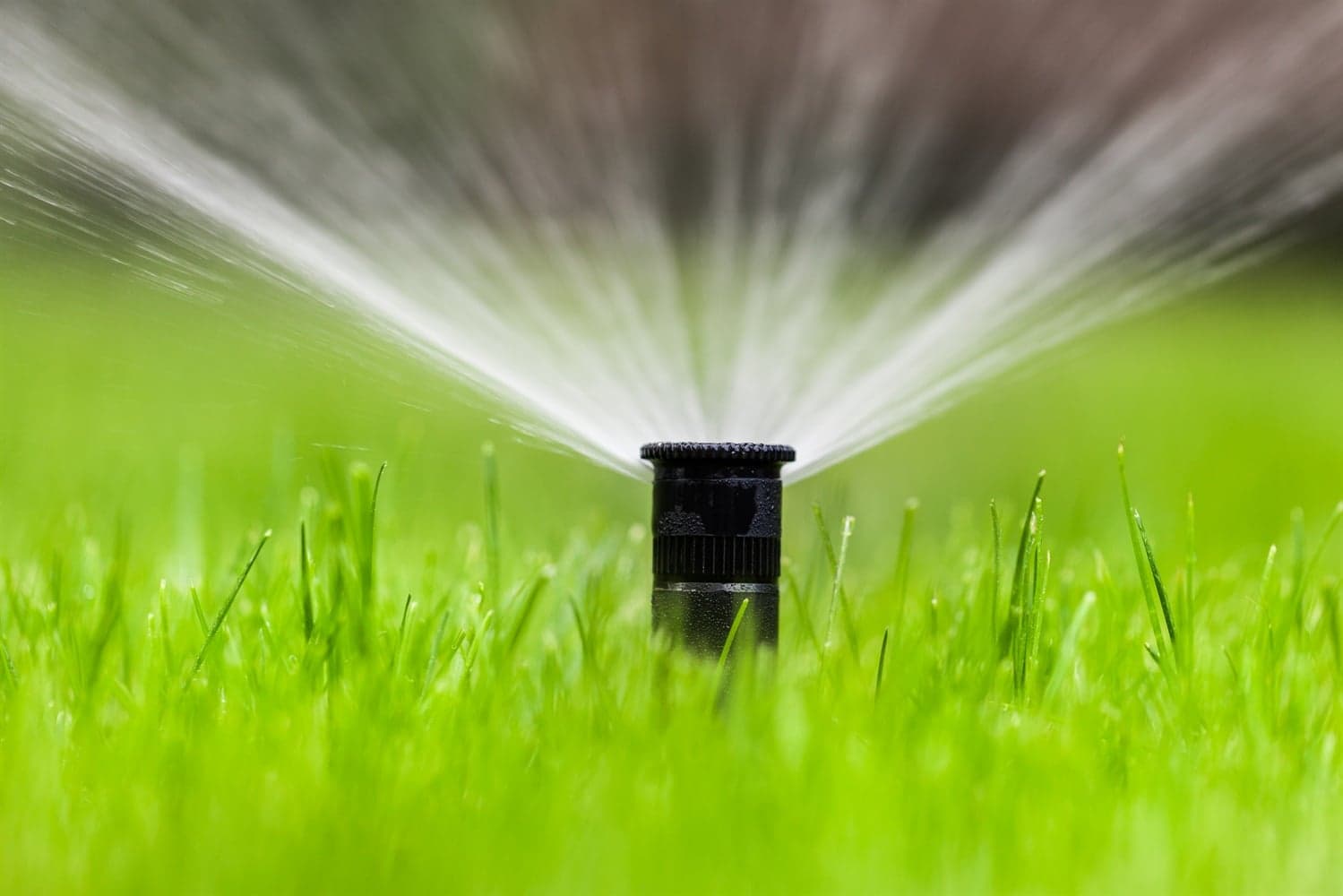 Expert Drainage Services in Springtown , TX for Effective Water Management
