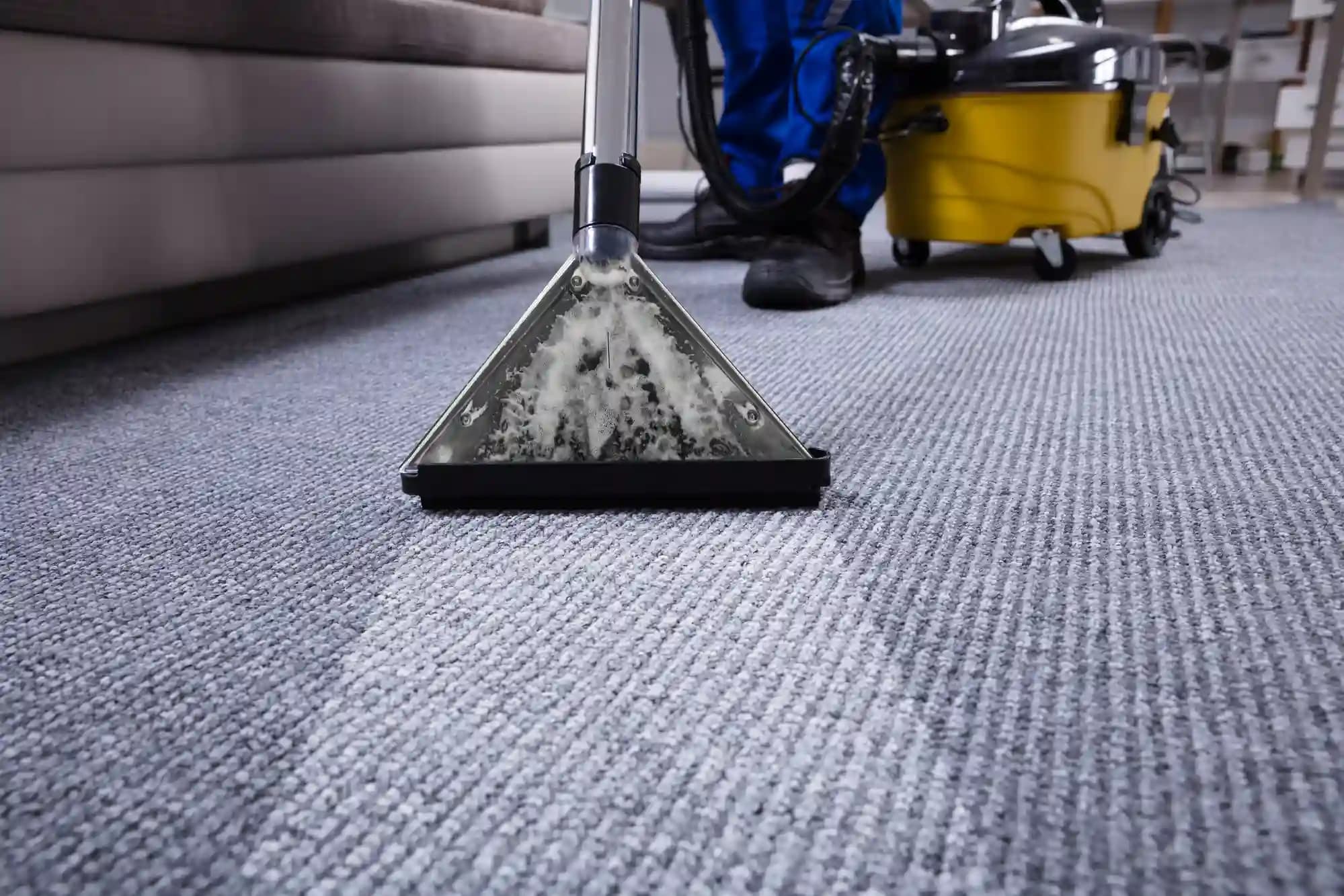 Superior carpet cleaning steiner ranch tx for Modern Living Spaces