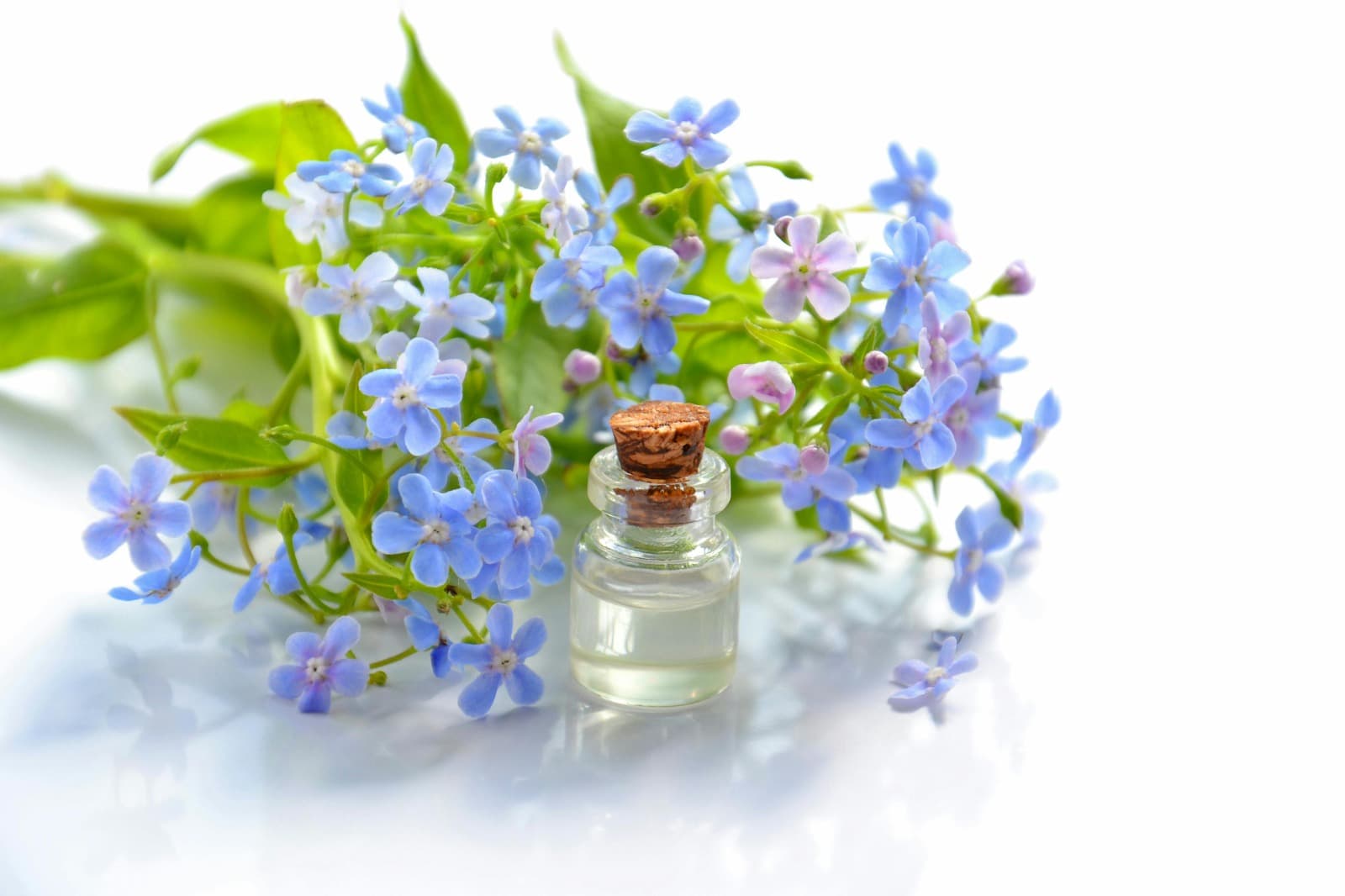 How to Choose the Perfect Luxury Cologne Samples For Men