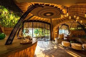 Kenya Safari Tours | Your Gateway to Africa’s Most Exclusive Safari Experiences
