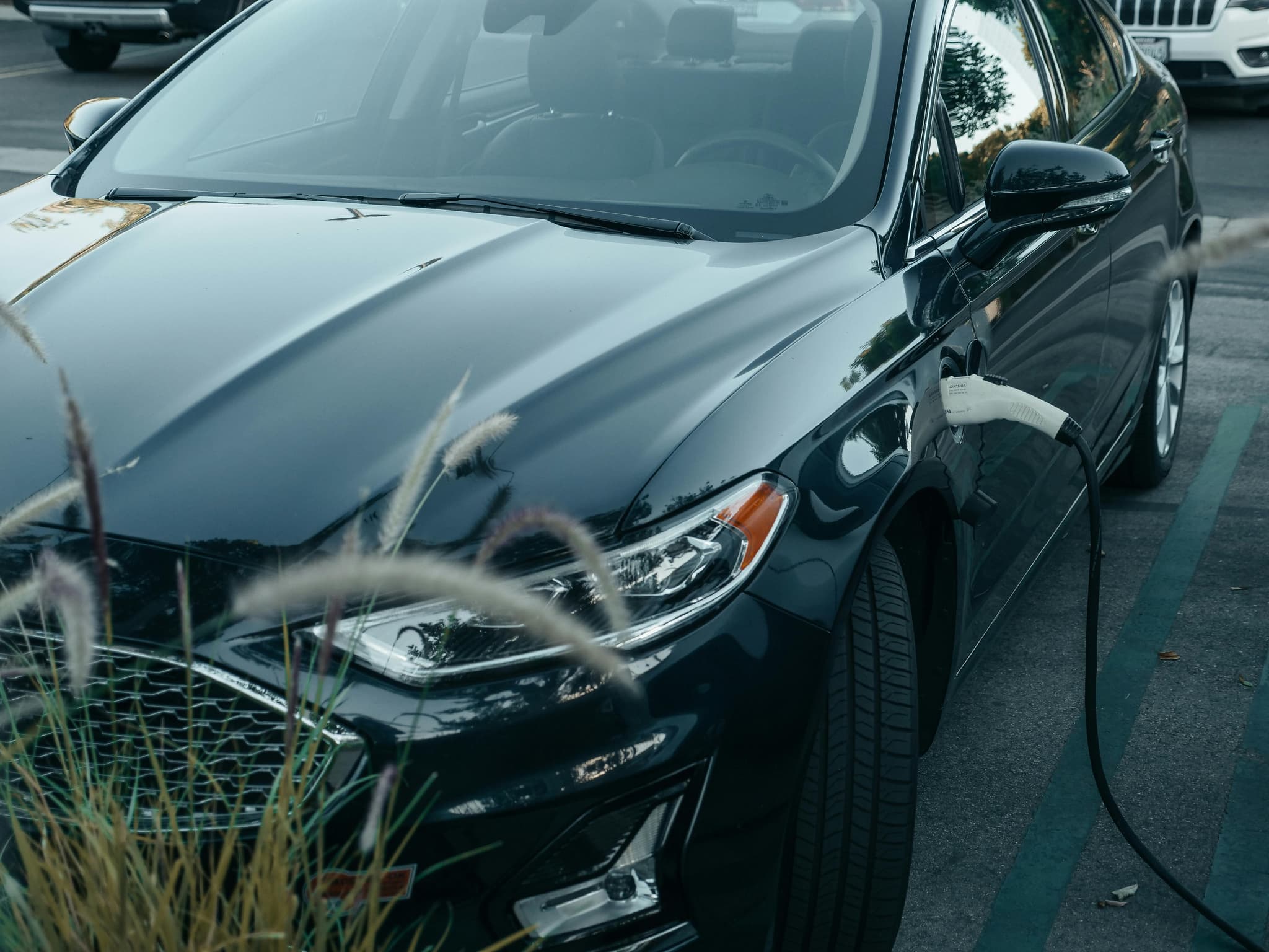 Luxury Wine tour limo packages to Explore Langley Vineyards