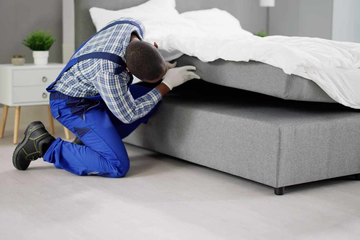 Mattress Cleaning Dubai – Remove Dust, Sweat & Germ Build-Up