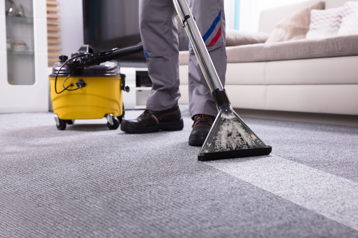 Top-Rated Best Carpet Cleaners Near Me