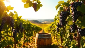 Sip fine wines at scenic wineries in Clarksburg surrounded by lush vineyards.